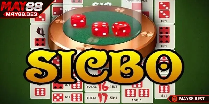 Hiểu luật và chọn cược khôn ngoan để tăng tỷ lệ thắngHiểu luật và chọn cược khôn ngoan để tăng tỷ lệ thắng