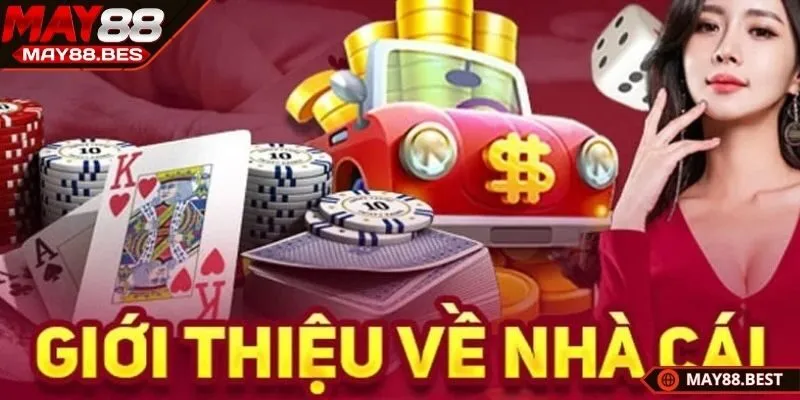 Giới thiệu MOTO về các loại hình cá cược